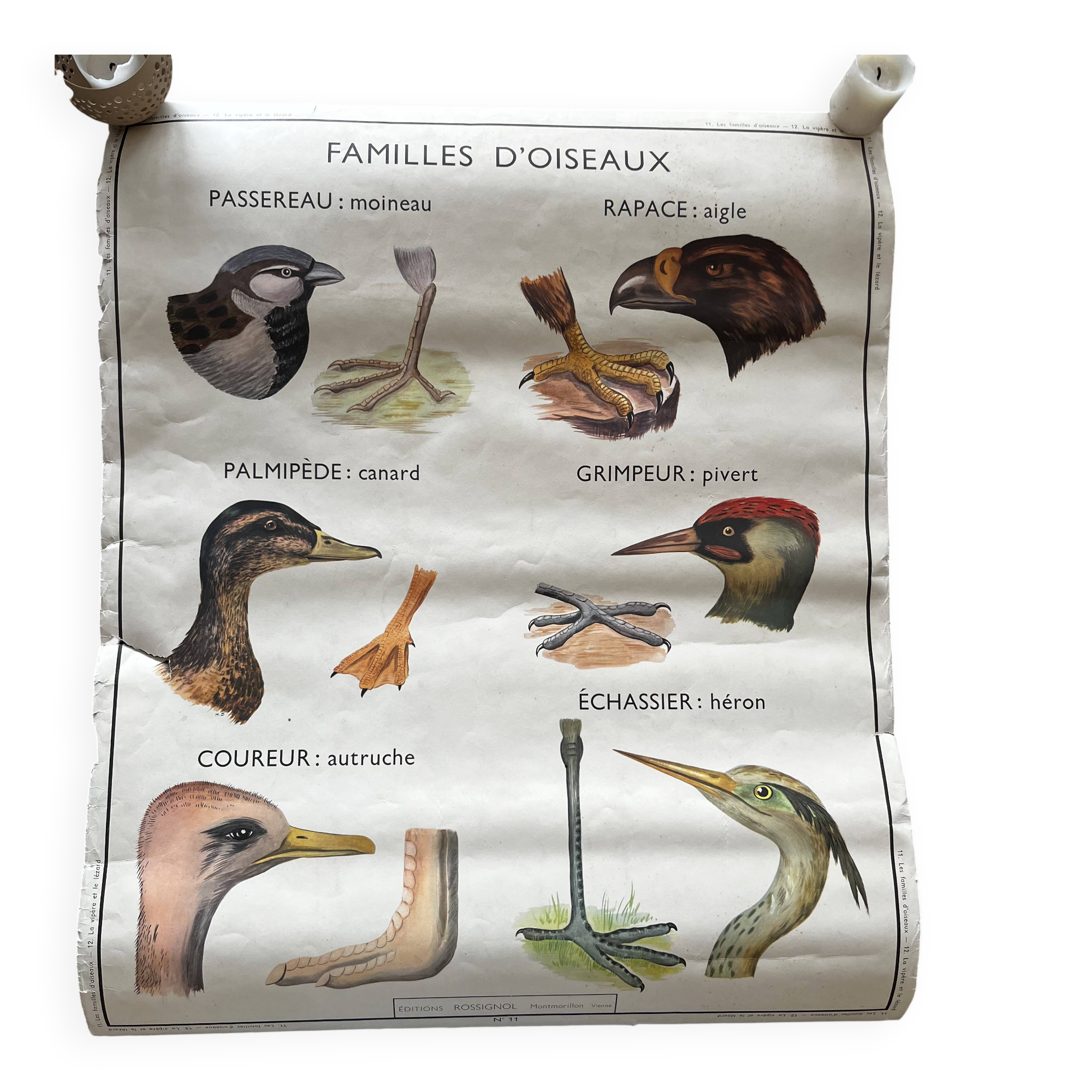 Old school poster Rossignol – Viper & Lizard / Bird families