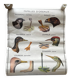 Old school poster Rossignol – Viper & Lizard / Bird families