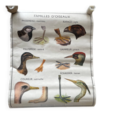 Old school poster Rossignol – Viper & Lizard / Bird families