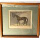 Lot of 2 English equestrian engravings framed late 19th century