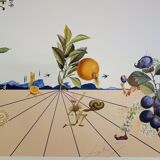 Salvador dali (1904-1989) flordali i