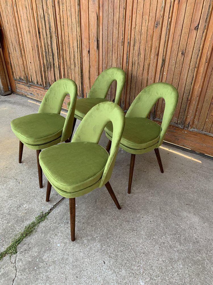 Chairs by Antonín Šuman for Tatra Nábytok, 1960