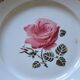 Lot of 4 plates Badonviller, Germaine