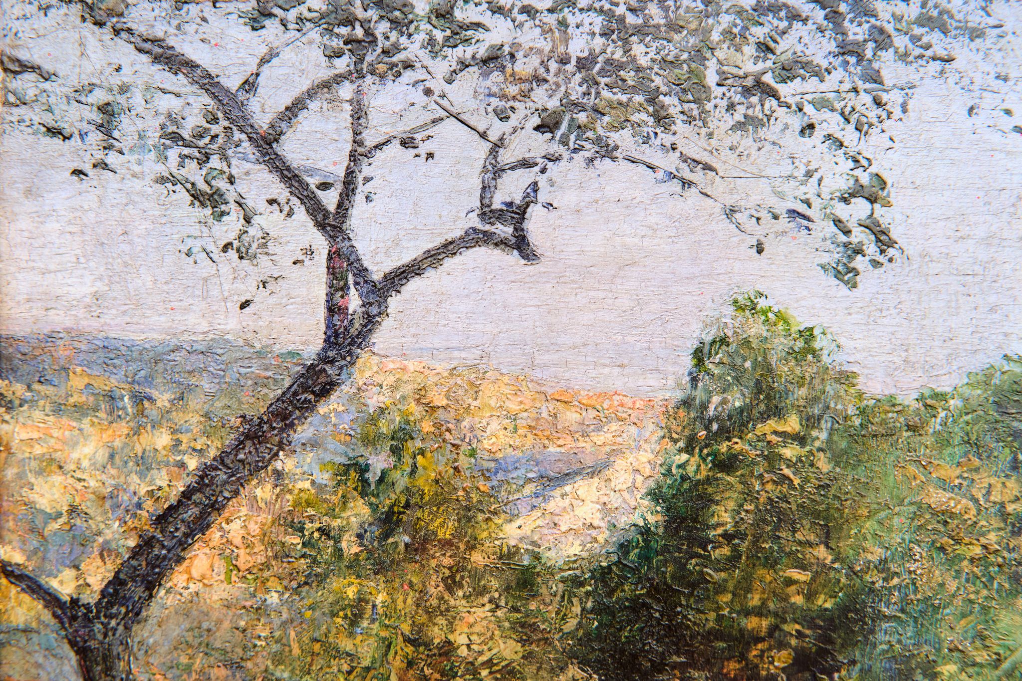 Monte Bignone, Sanremo Giuseppe Ferdinando Piana  (Ceriana 1864 – Bordighera 1956)