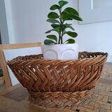 Basket