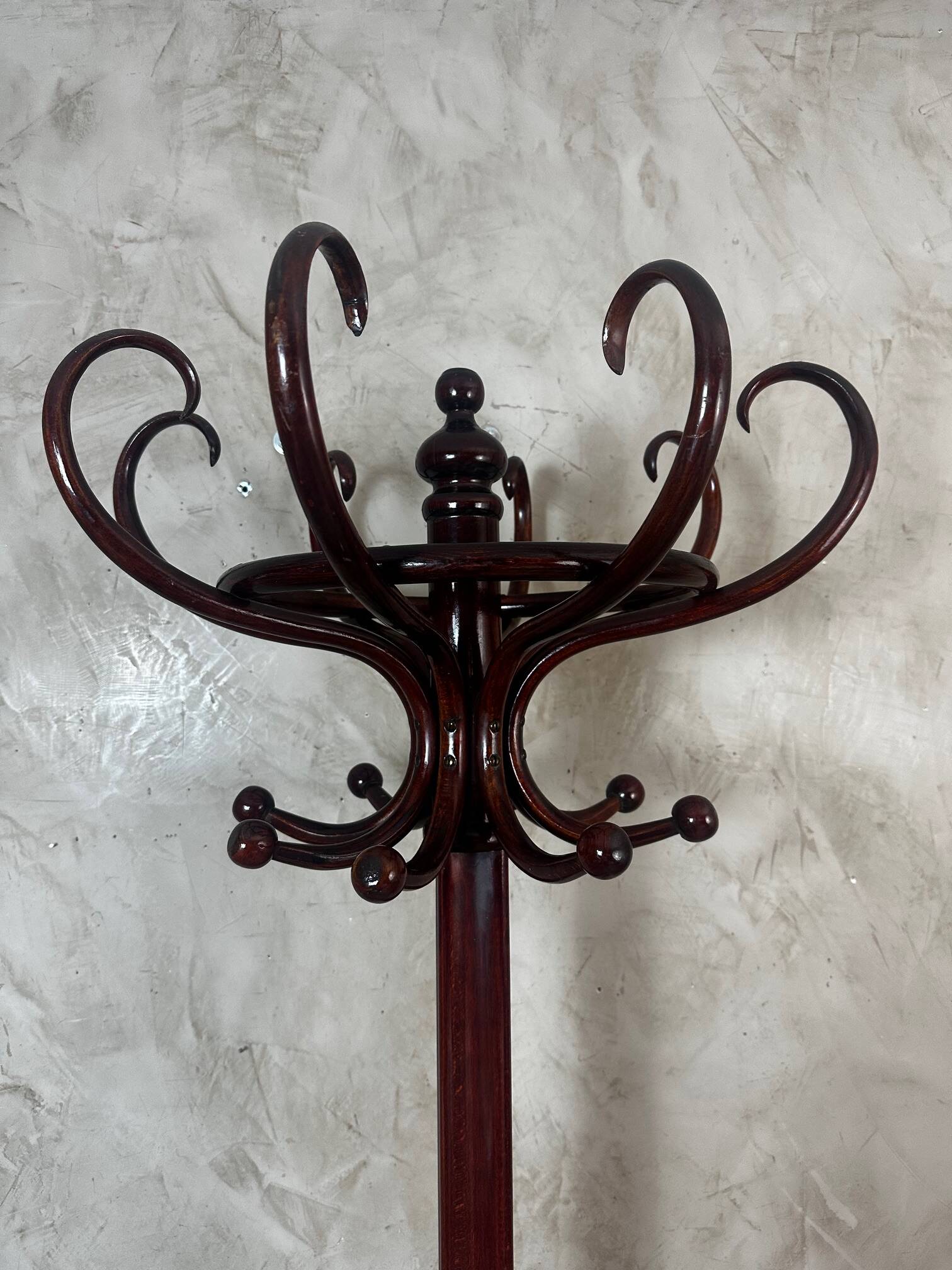 Parrot in the Thonet style
