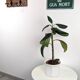 Matéria white side table, contemporary design, chrome-plated metal