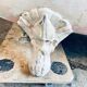 Cast iron bathtub eagle's feet