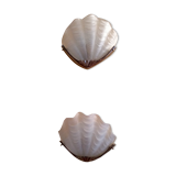 Appliques