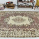 6x10 brown & beige classic antique rug, 192x299cm