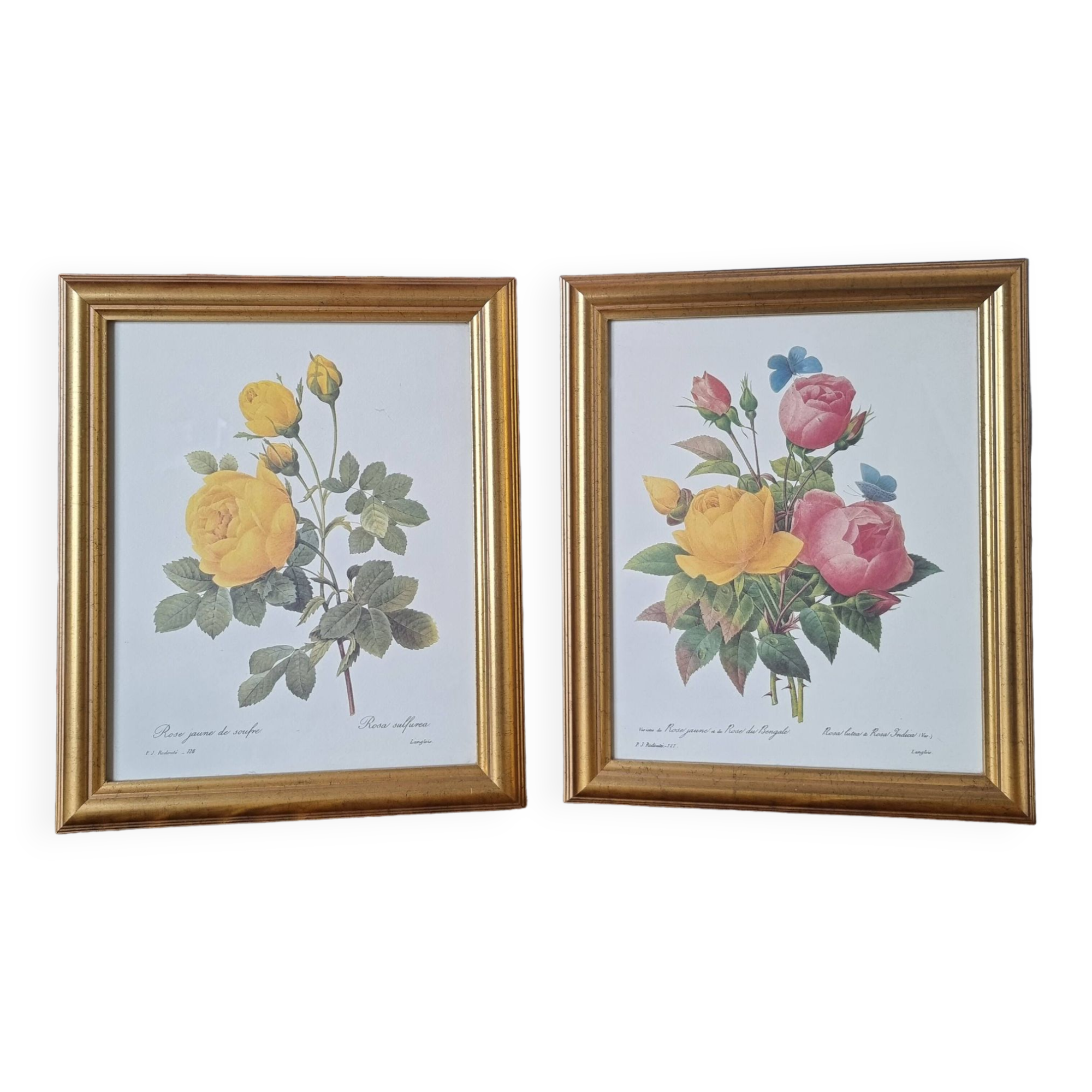 2 paintings with period lithographed flowers and gilded wooden frame.