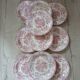10 antique dinner plates