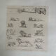 Lithographie ancienne orientale - Ornements de la Perse