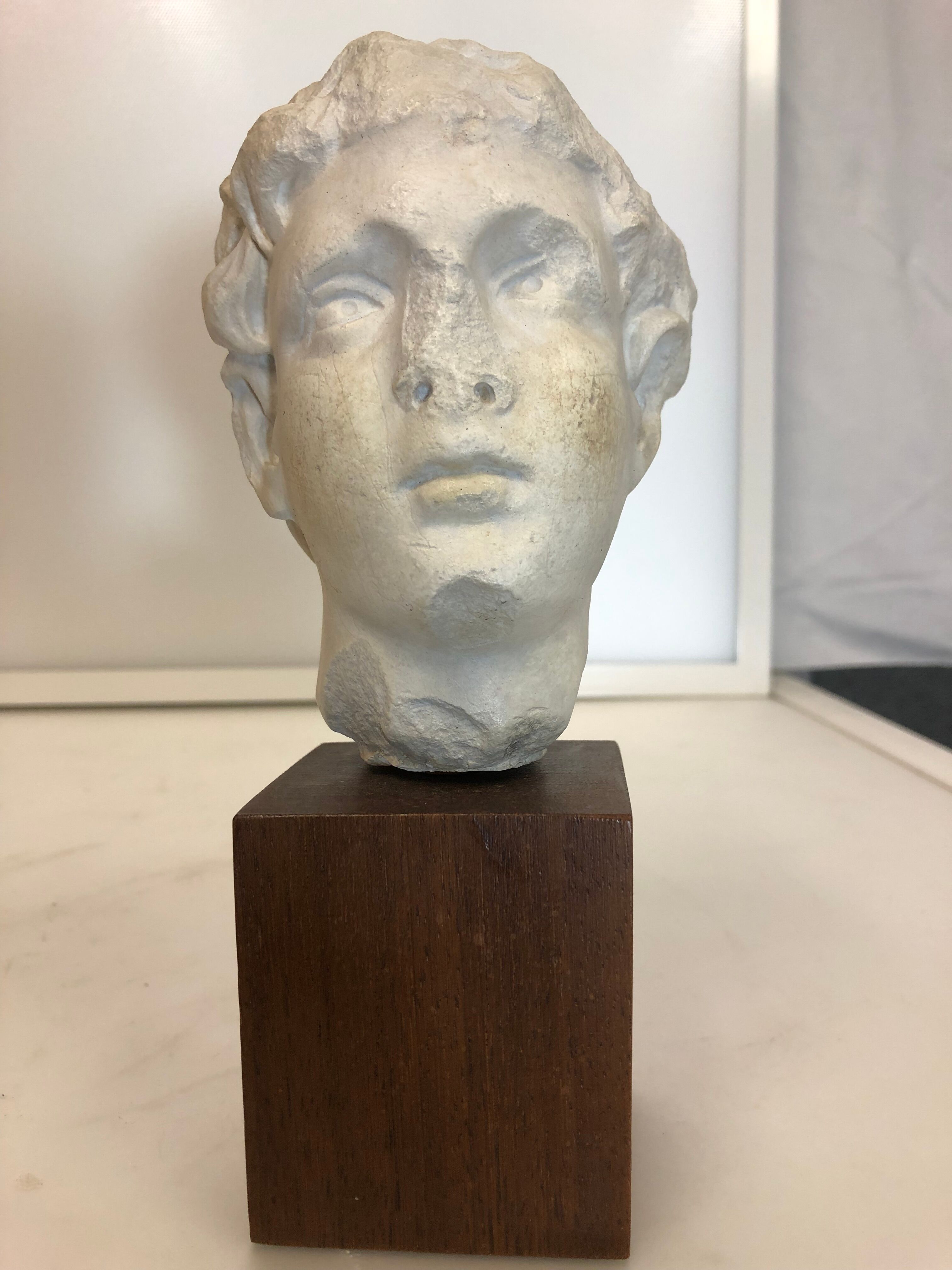 Statue bust roman man