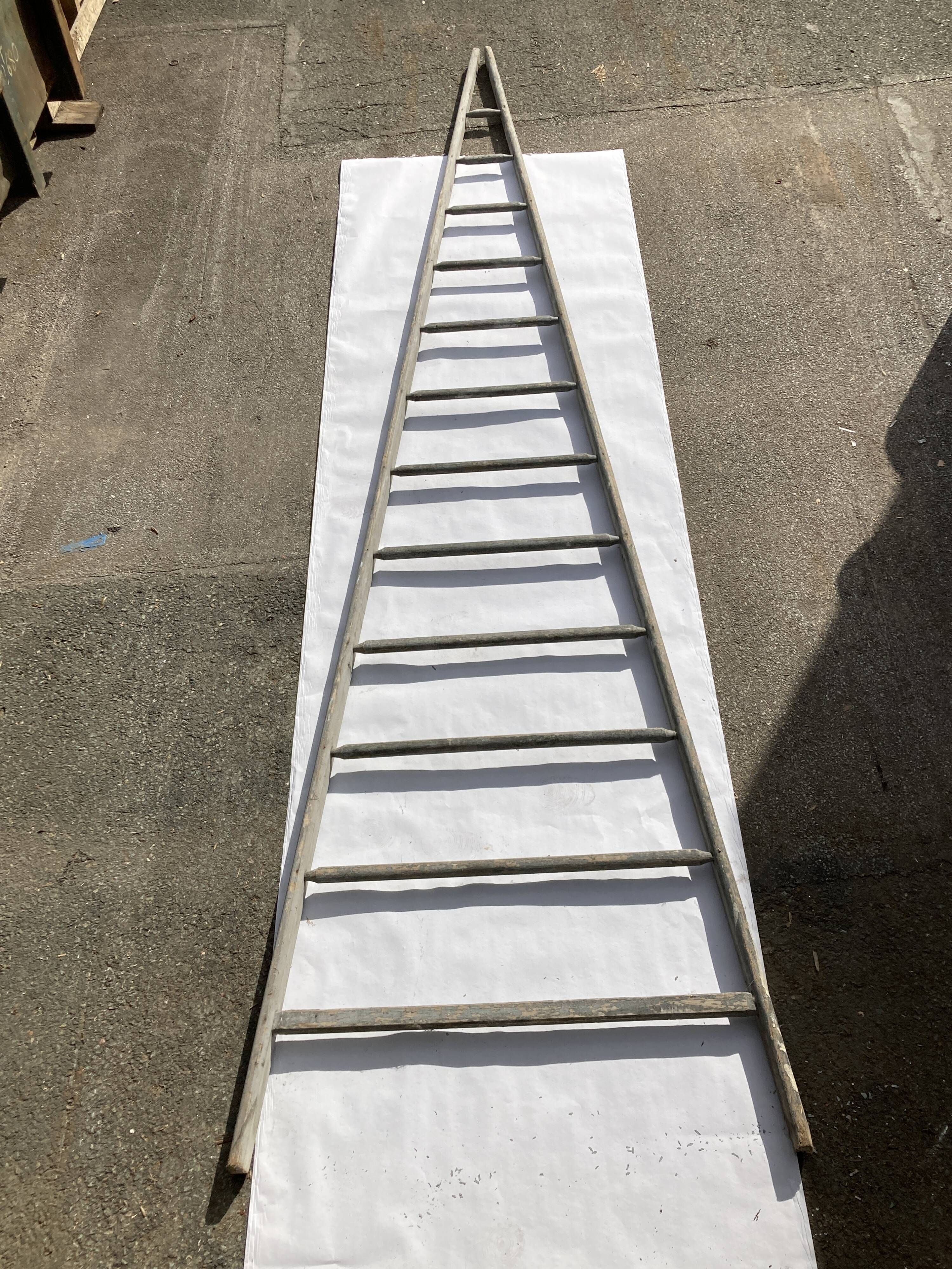 Old fruit ladder harvesting wood