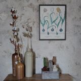 Framed botanical board