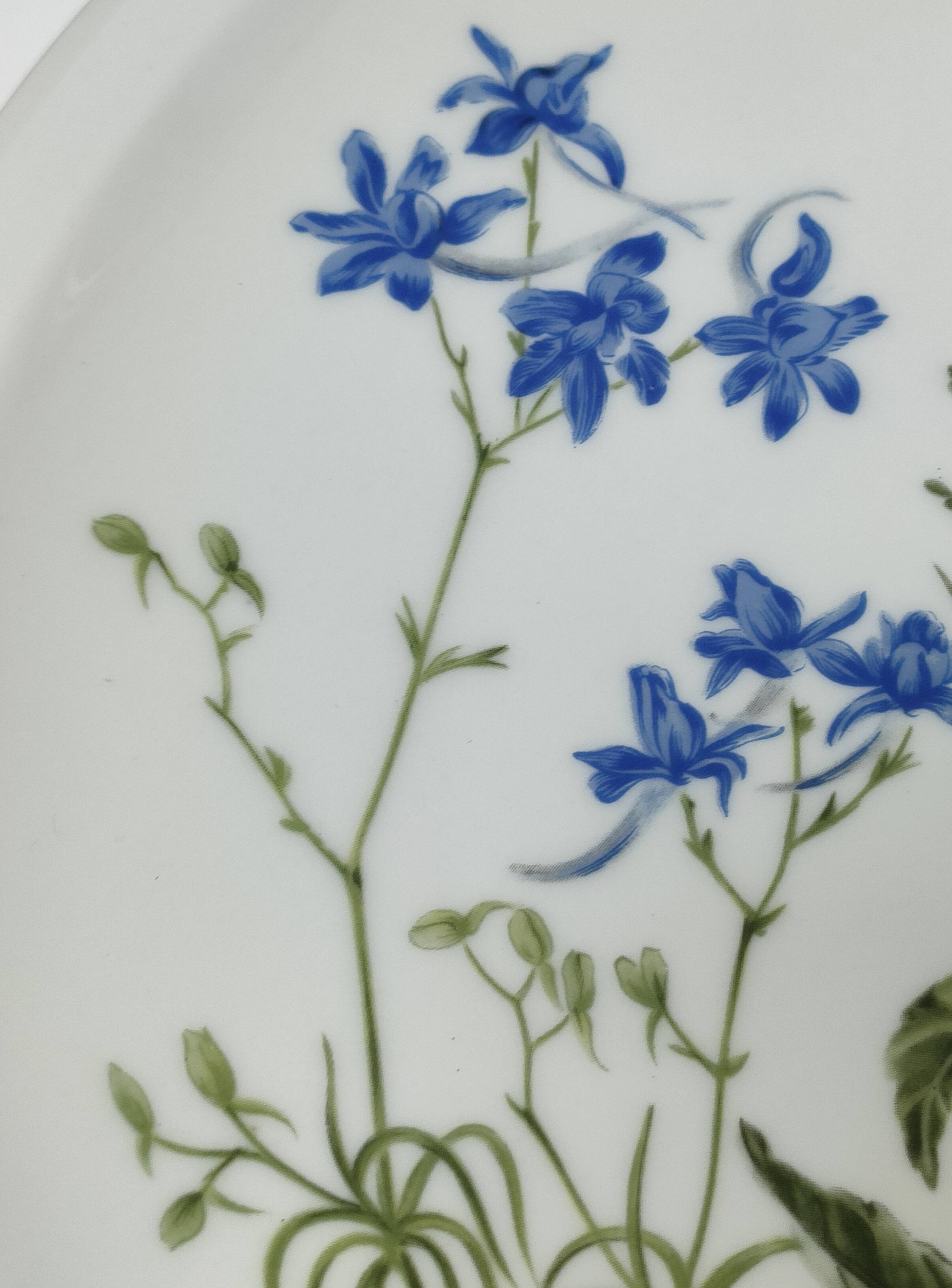 Six flat plates Alcée model porcelain Bernardaud Limoges floral decoration