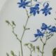 Six flat plates Alcée model porcelain Bernardaud Limoges floral decoration