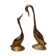Duo of golden brass swans