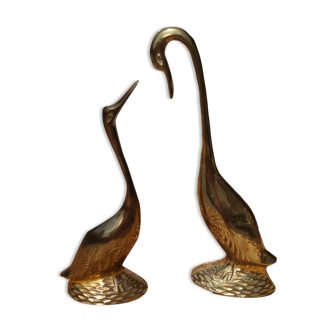 Duo of golden brass swans