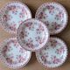 5 deep plates Sarreguemines