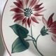 Floral deep plates hbcm