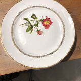 Vintage dessert plates Moulin des loups and Orchies
