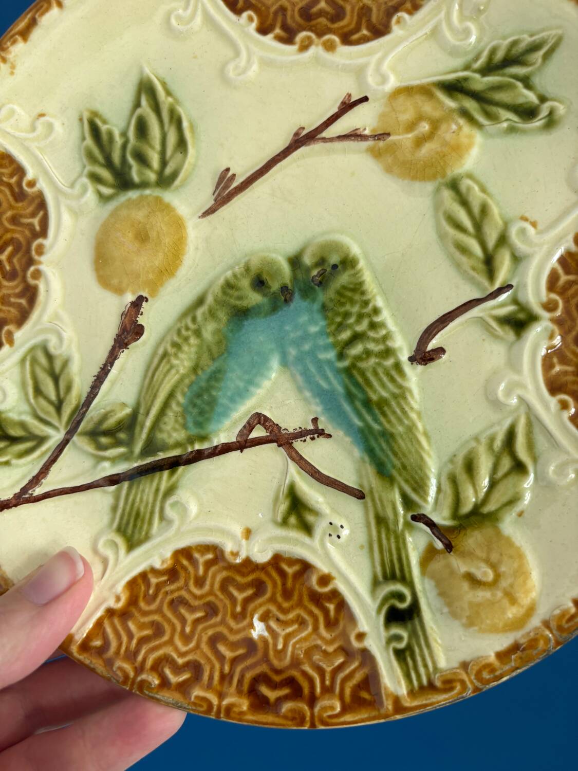 Set of 2 Salins Barbotine Plates - Vintage Parakeet Decor - service