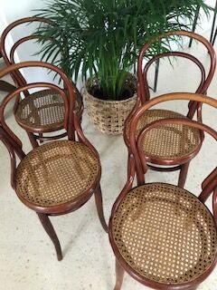 4 tuna chairs