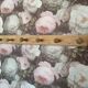 Old coat rack 6 hooks
