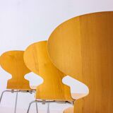Special set of 5 Ant chairs by Fritz Hansen