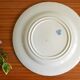 Plate from the Gien factory in iron earth