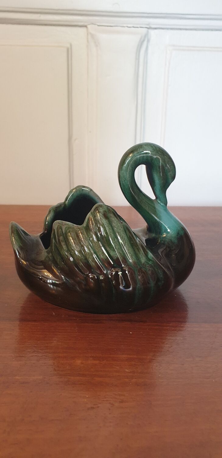 Empty pocket swan canada