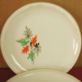 Set of 5 dessert plates