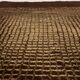 Rare Kyoto Rug by Gaetano Pesce for Expansion, 1969