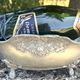 Footed pewter champagne cooler on claw feet with floral relief