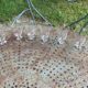 6 clear glass wine glasses with antique chiseled flower pattern