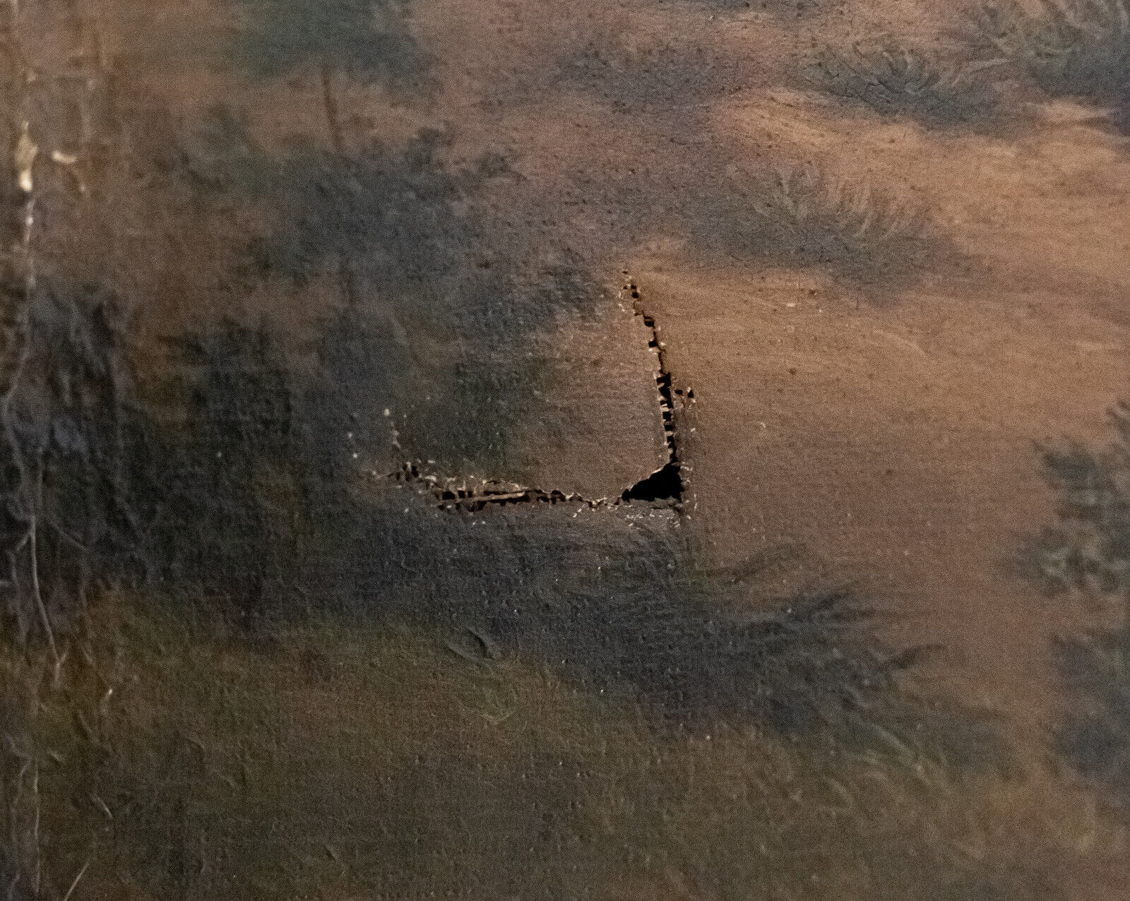 Oil on canvas undergrowth scene early twentieth century