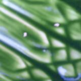 5 earthenware asparagus plates