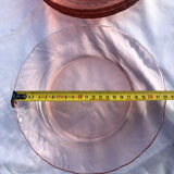 Lot 6 hollow plates Rosaline