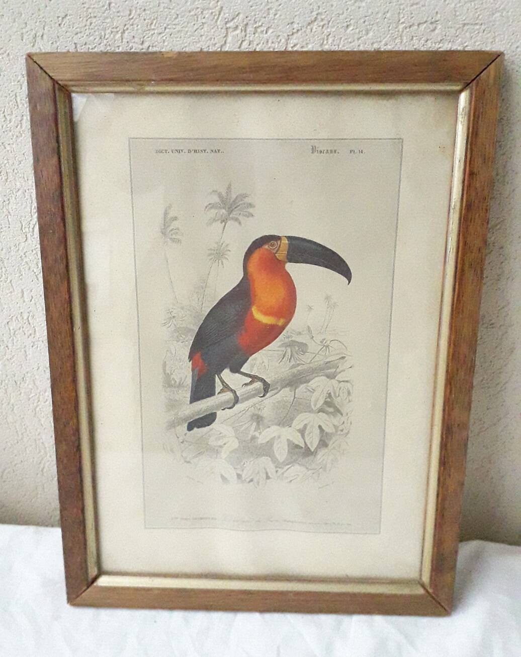 Educational framework