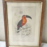 Educational framework