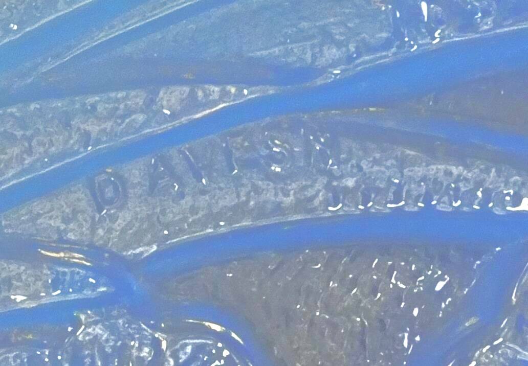 Large glass plate - Signed - P. D'Avesn - Excellent condition