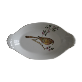 Bird dish