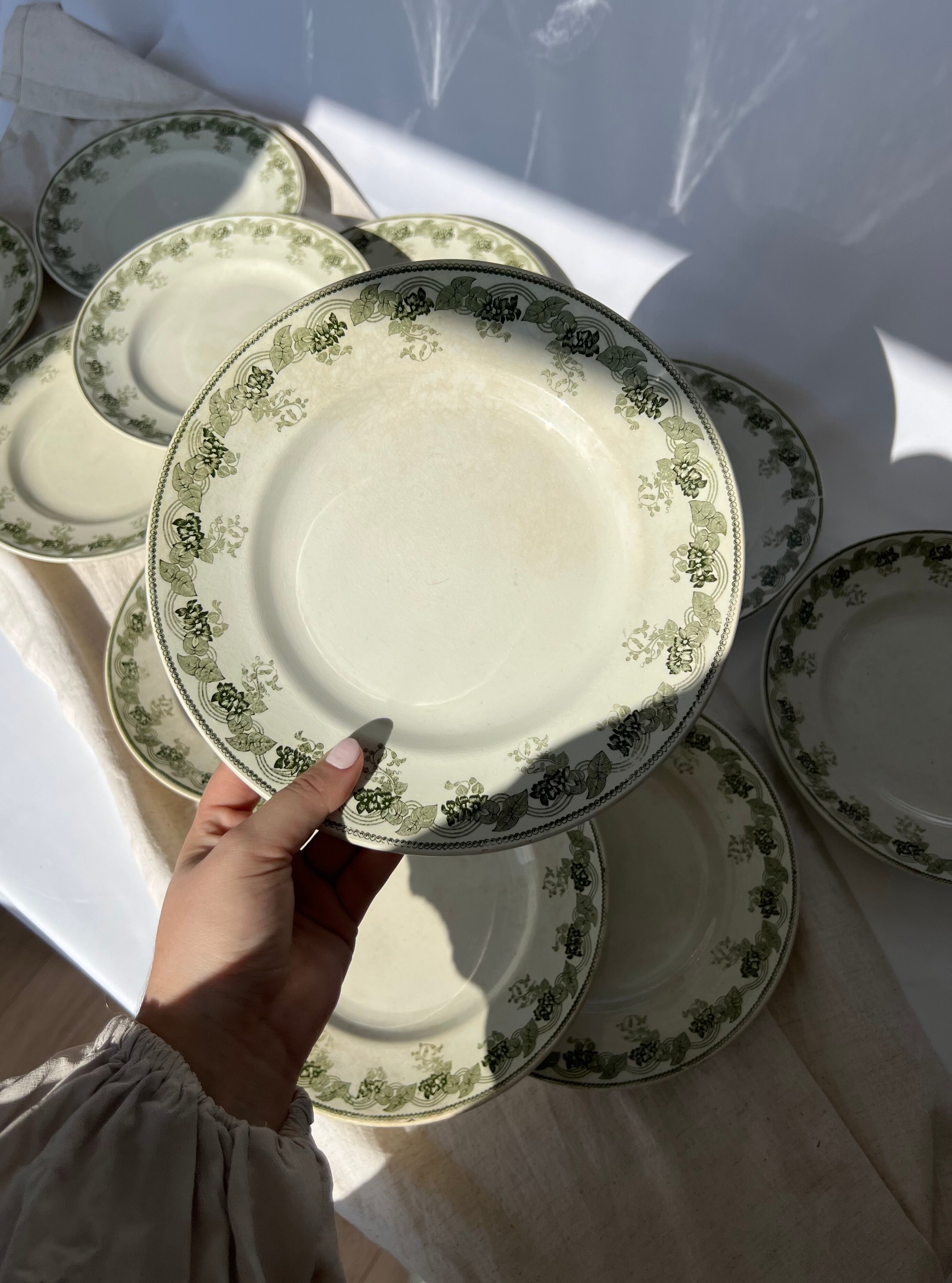 Moulin Des Loups & Hamage 12 plates model "Violetta" early twentieth century