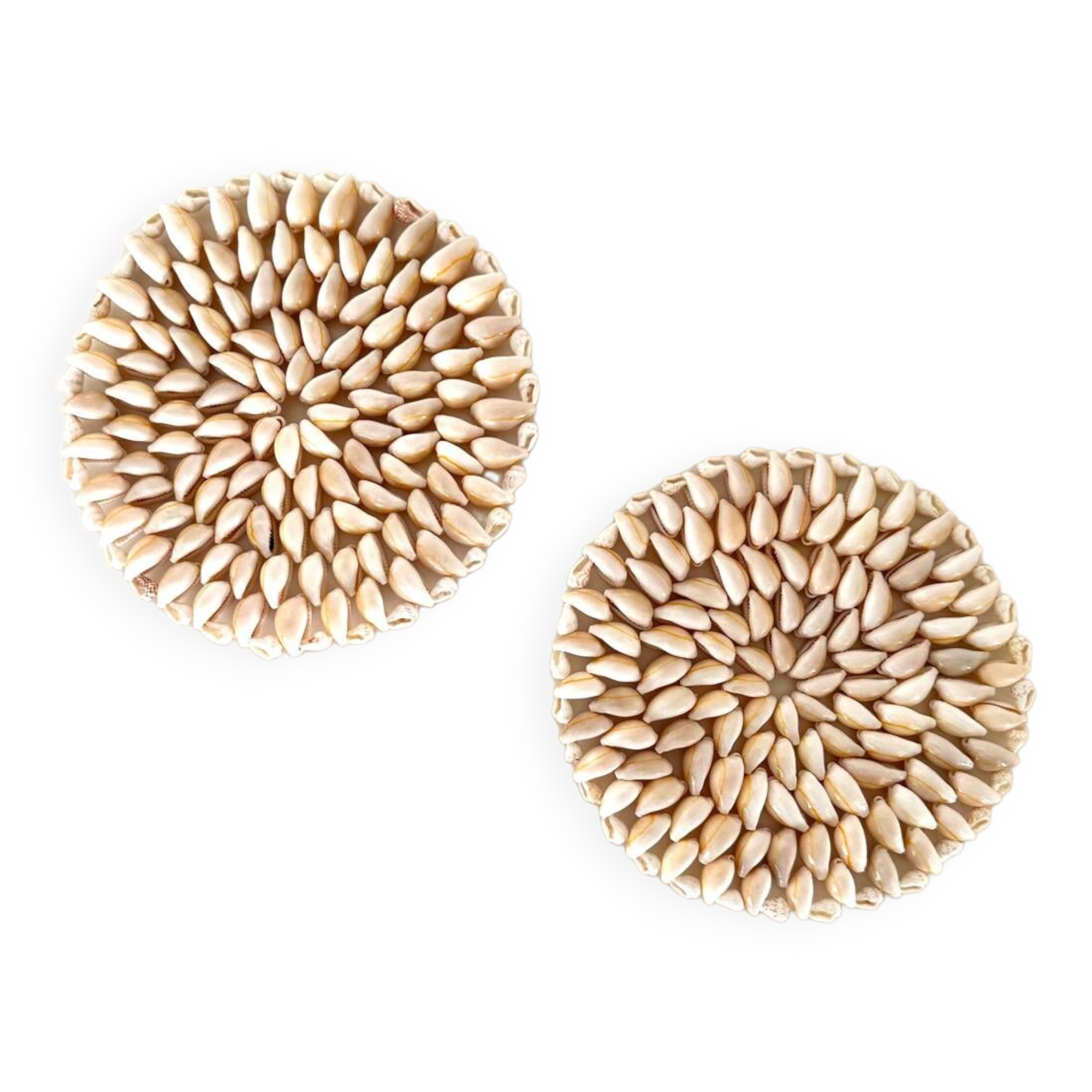 Pair of shell trivets