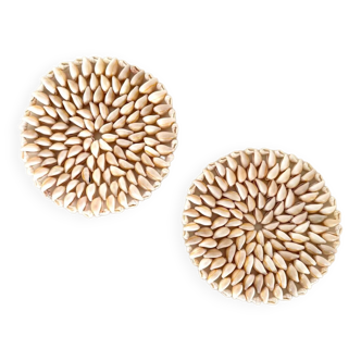 Pair of shell trivets