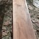 Farm bench or bed