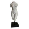Bust of Aphrodite bathing after Praxiteles neo-classical Greco-Roman