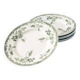 Set of 6 green Terre de fer plates